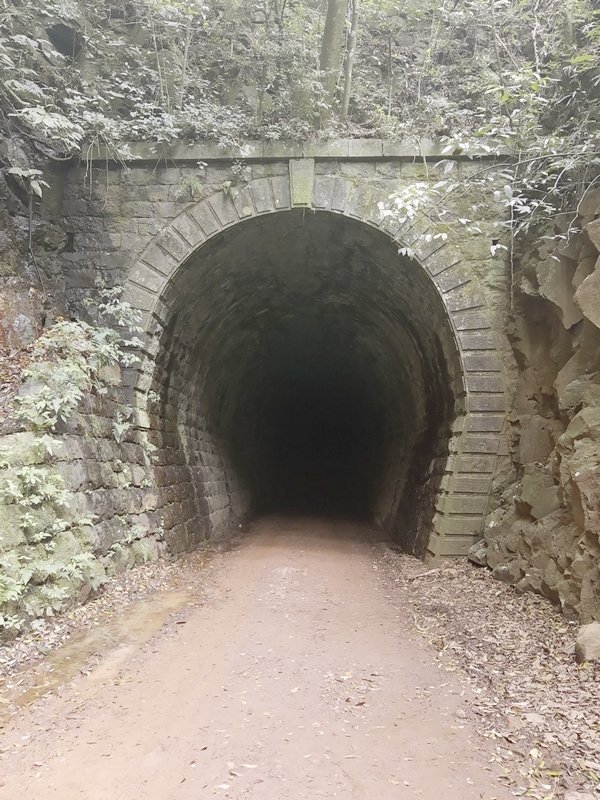 Túnel - Linha Bonita